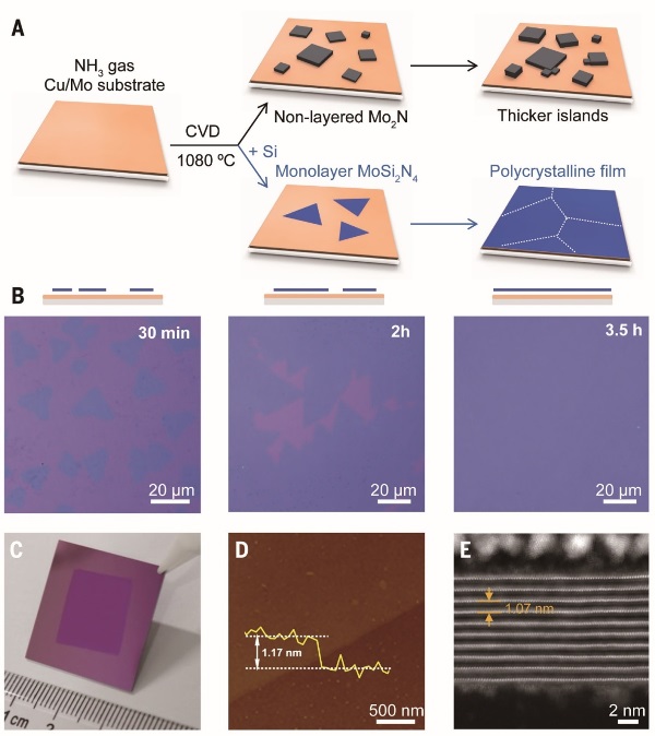 1597046314391794.jpg 二维层状MoSi2N4材料1.jpg