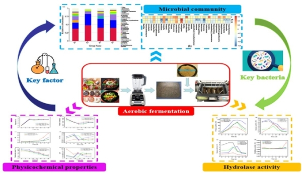 1597140010877229.jpg 1597140010877229.jpg