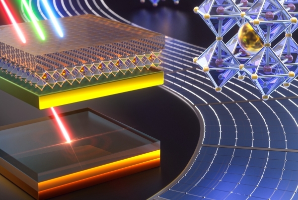 1597288195919578.jpg 1597288195919578.jpg