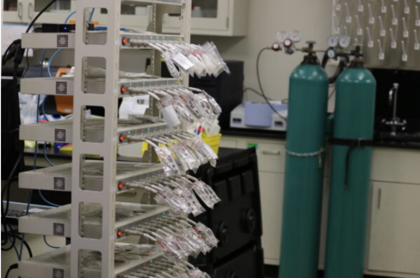 电池，金属氧化物,锂离子电池材料,电动汽车,过渡金属氧化物，原位磁测技术