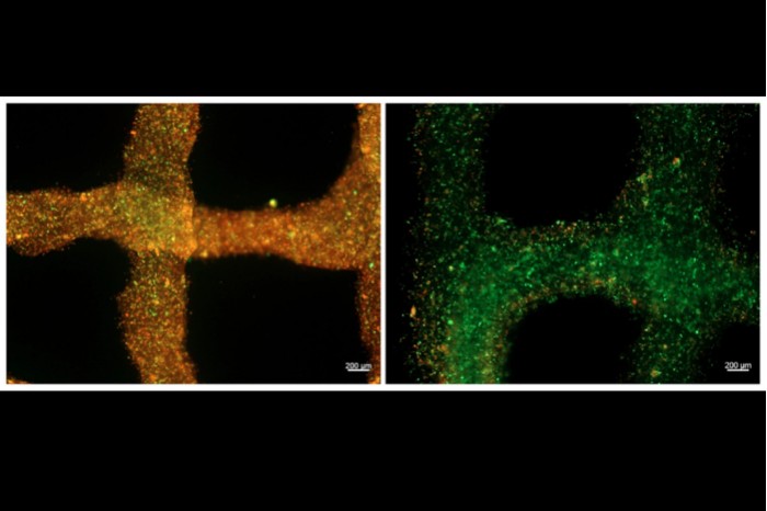 Screenshot_2020-09-11 (WEBP 图像,2400x1600 像素) - 缩放 (39%).jpg