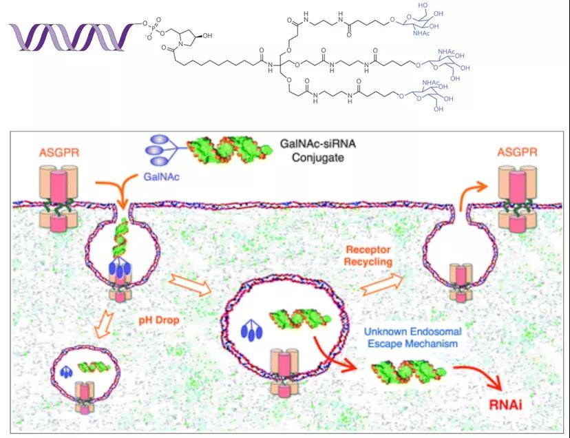 1610936061228086.jpg 1610936061228086.jpg