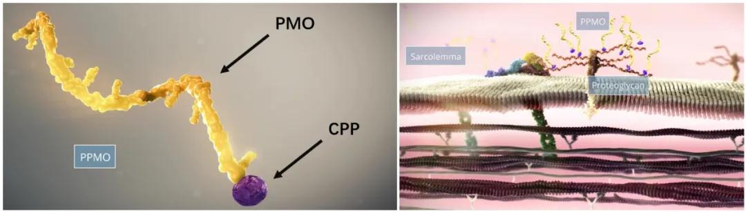 1610936099899877.jpg 1610936099899877.jpg