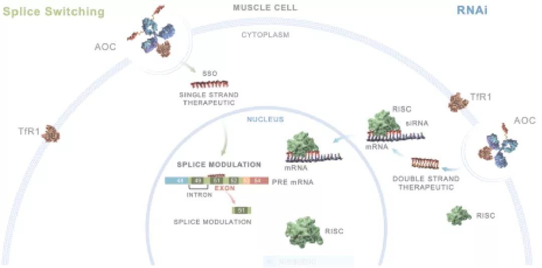 1610936166898182.jpg 1610936166898182.jpg