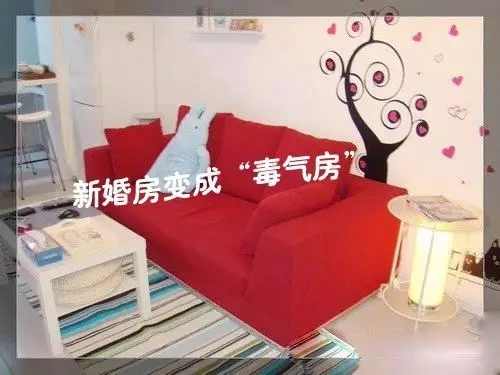 1614868008642196.jpg 6.webp.jpg