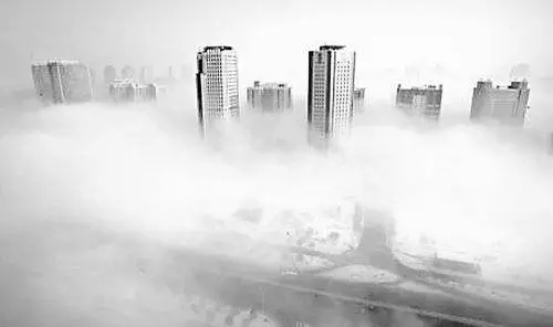 1614868018613684.jpg 7.webp.jpg