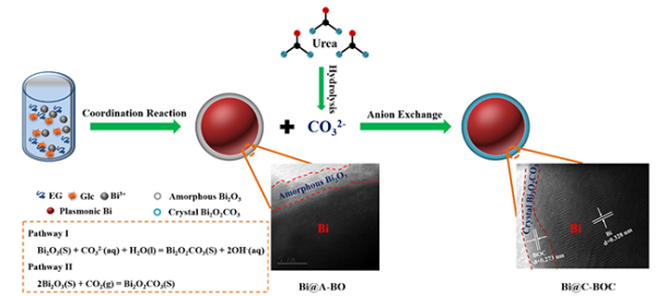 Bi@Bi2O2CO3核壳结构制备示意图.png