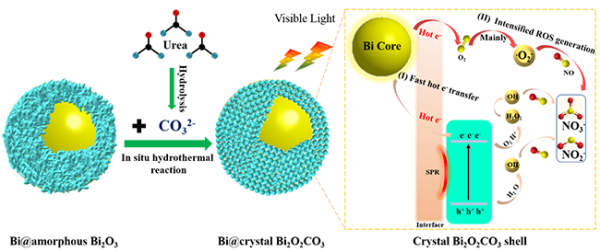 Bi@Bi2O2CO3核壳结构光催化降解NOx反应机理图.png