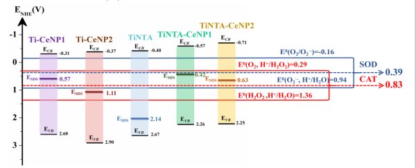 1625841293843545.png 骨质疏松性骨折修复用纳米催化涂层研究2.png
