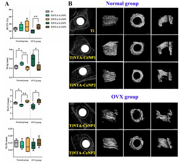 1625841303112726.png 骨质疏松性骨折修复用纳米催化涂层研究3.png
