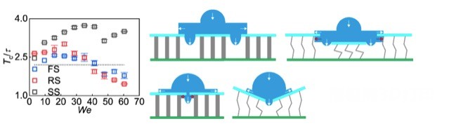 1626076364129742.jpg 超疏水仿生微结构3.jpg