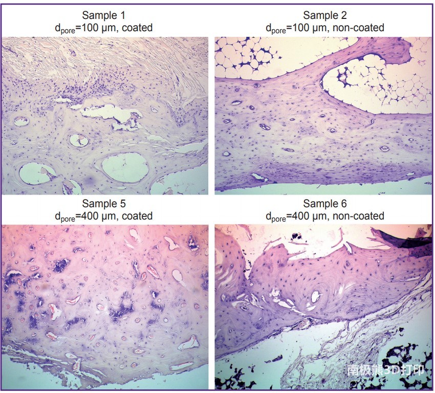 1626253003267520.jpg 1626253003267520.jpg