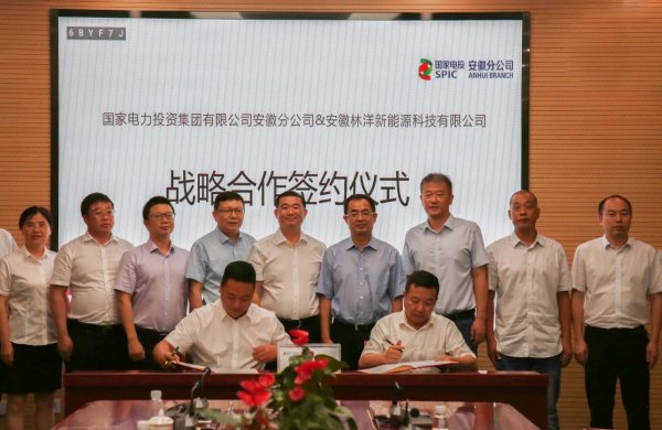 1626314228725493.jpg 林洋能源.jpg