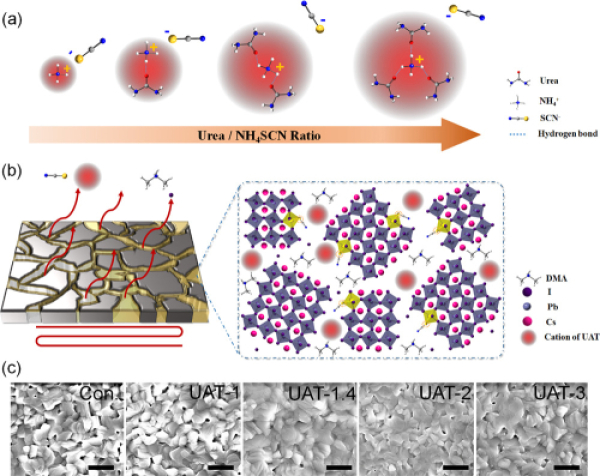 1626405154376822.jpg 全无机钙钛矿太阳能电池研究取得进展1.jpg