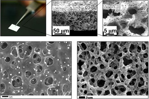 1626504233889578.jpg 北大新材料学院动力和储能电池与材料研究中心7.jpg