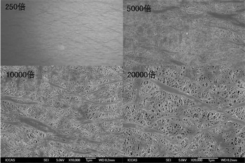 1626504256500409.jpg 北大新材料学院动力和储能电池与材料研究中心8.jpg
