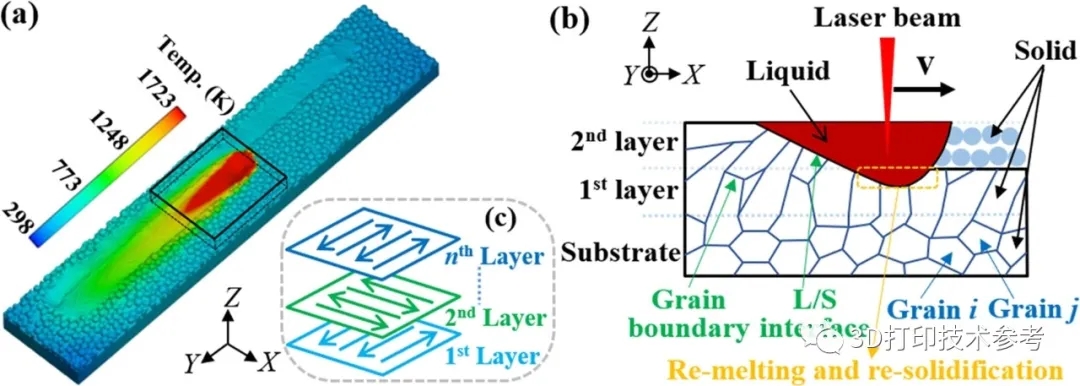 SLM 过程模拟示意图