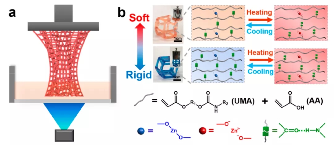 光固化3D打印动态聚合物