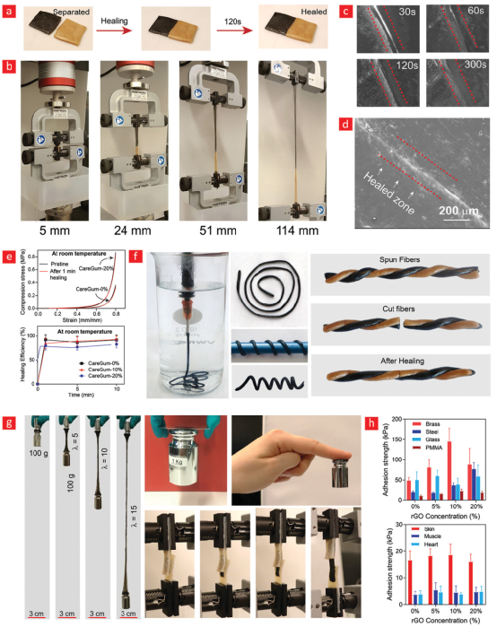 CareGum 具有自愈、编织和粘合性能