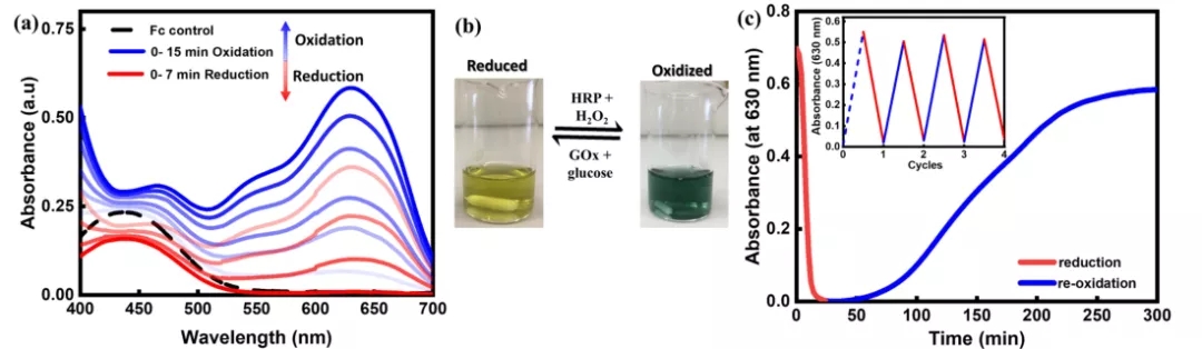凝胶氧化还原行为分析