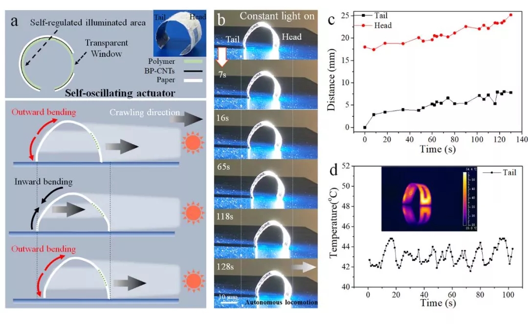 自振荡软驱动器的自主趋光运动
