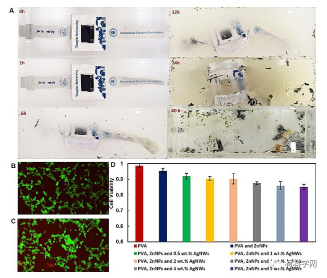 智能手表的溶解和细胞毒性研究