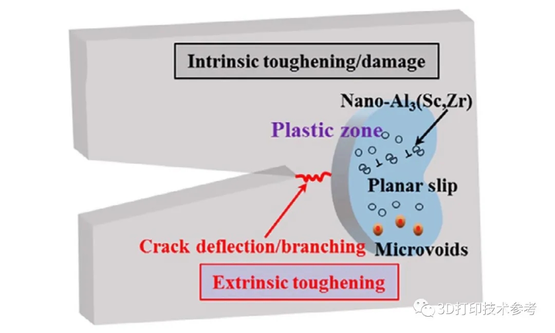 SLM处理的Al-Mg-Sc-Zr合金的内在损伤/增韧和外在增韧机理