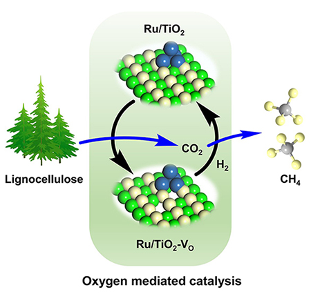 大连化物所等提出载体氧缺陷介导的生物质直接甲烷化新方法