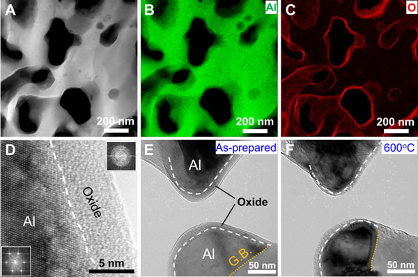 纳米多孔铝的结构表征 纳米多孔铝的结构表征