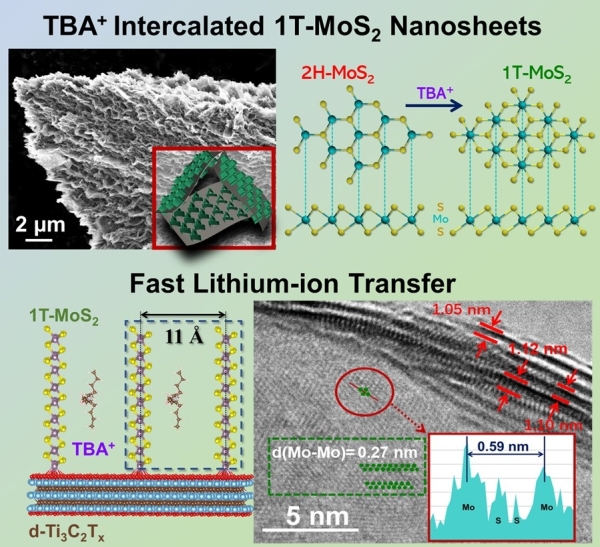 T-MoS2/d-Ti3C2Tx二维复合纳米材料结构示意图 T-MoS2/d-Ti3C2Tx二维复合纳米材料结构示意图
