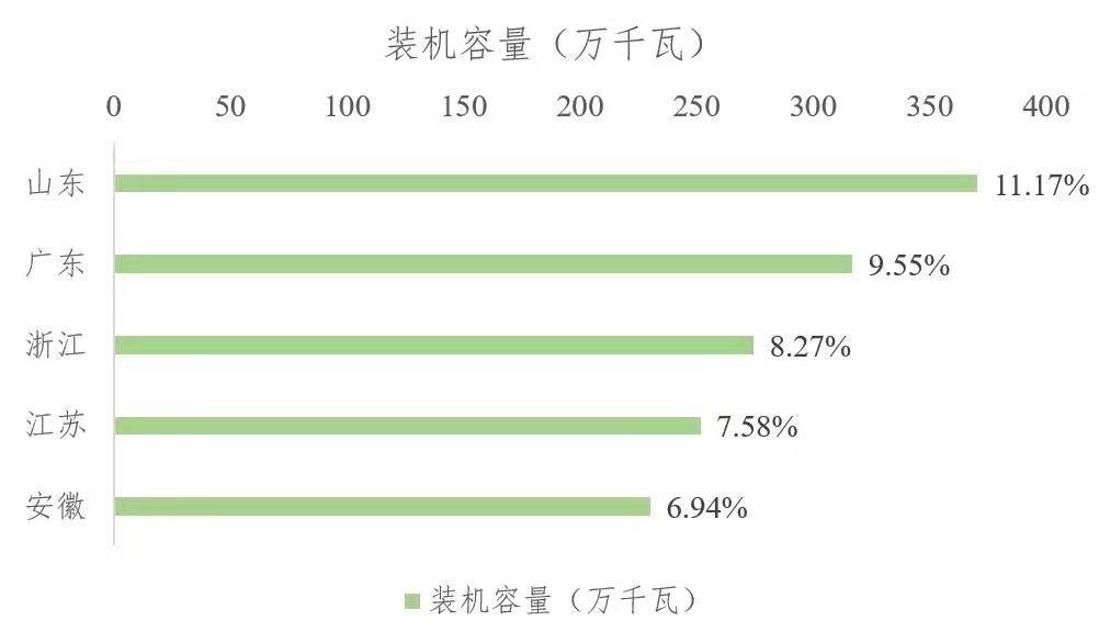 2021年上半年生物质发电运行情况