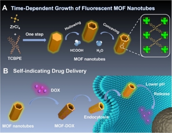 荧光空心MOF纳米管的形成及用于自我指示的药物递送 荧光空心MOF纳米管的形成及用于自我指示的药物递送
