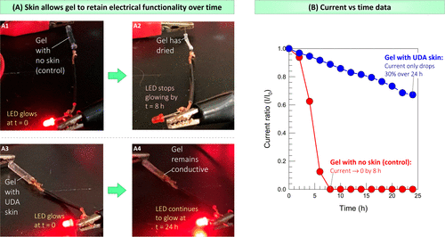 马里兰大学:一个简单的方法在任何水凝胶周围合成保护性“皮肤”