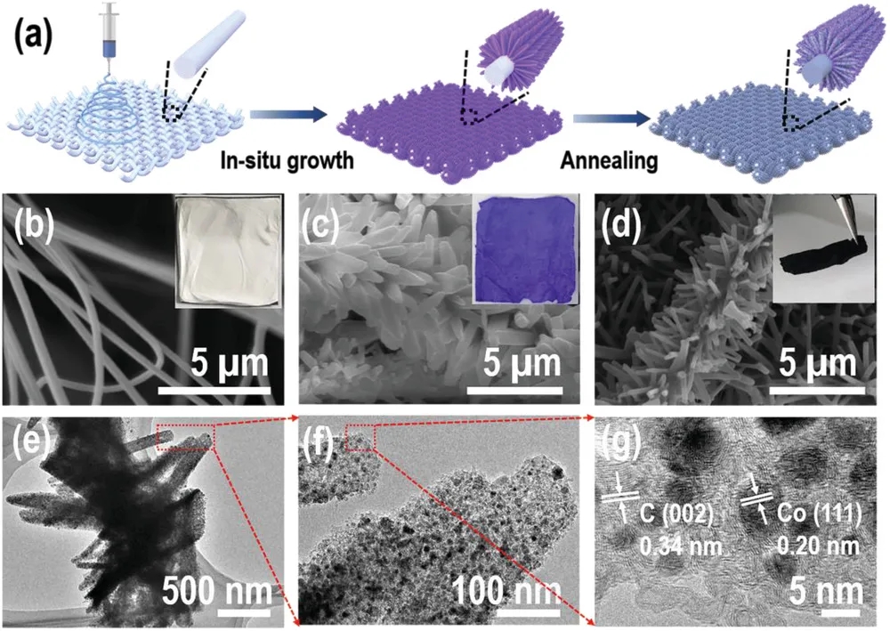 制备及形貌表征 制备及形貌表征