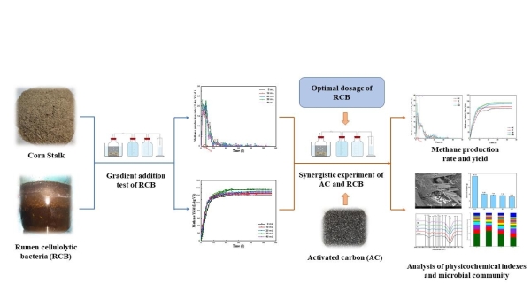 秸秆厌氧消化过程菌-炭生物强化研究