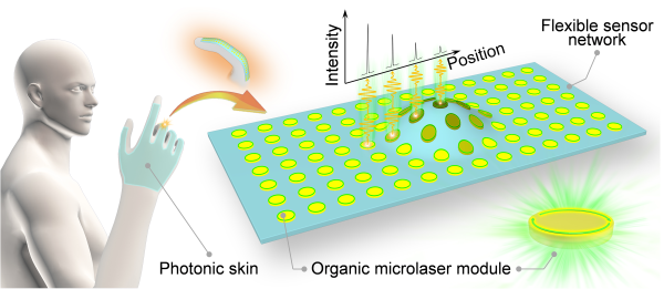 1628498880477781.png 化学所基于柔性有机微激光阵列实现光子皮肤功能1.png