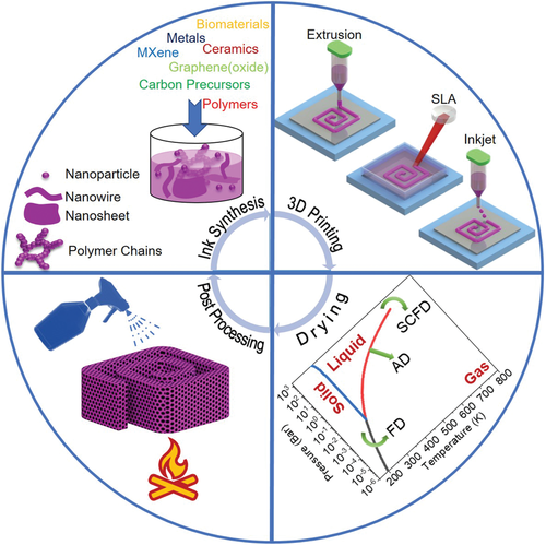 《AFM》东北大学祝红丽综述:3D 气凝胶和多孔支架的增材制造 《AFM》东北大学祝红丽综述:3D 气凝胶和多孔支架的增材制造
