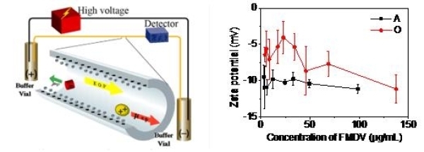 过程工程所提出多价灭活口蹄疫病毒疫苗抗原含量检测新策略