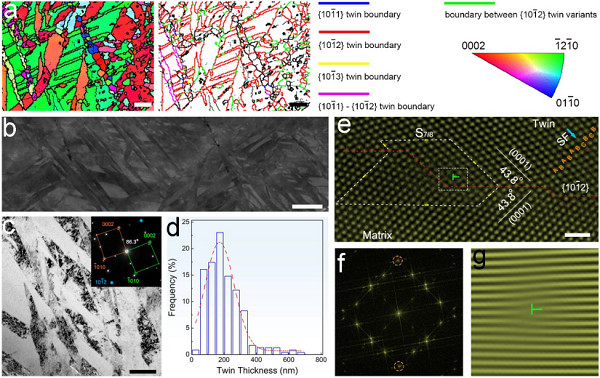 金属所在镁合金力学强度与耐蚀性协同提升研究中获进展 金属所在镁合金力学强度与耐蚀性协同提升研究中获进展