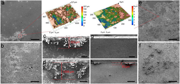 金属所在镁合金力学强度与耐蚀性协同提升研究中获进展 金属所在镁合金力学强度与耐蚀性协同提升研究中获进展