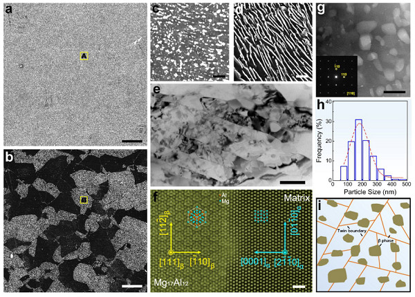 金属所在镁合金力学强度与耐蚀性协同提升研究中获进展 金属所在镁合金力学强度与耐蚀性协同提升研究中获进展