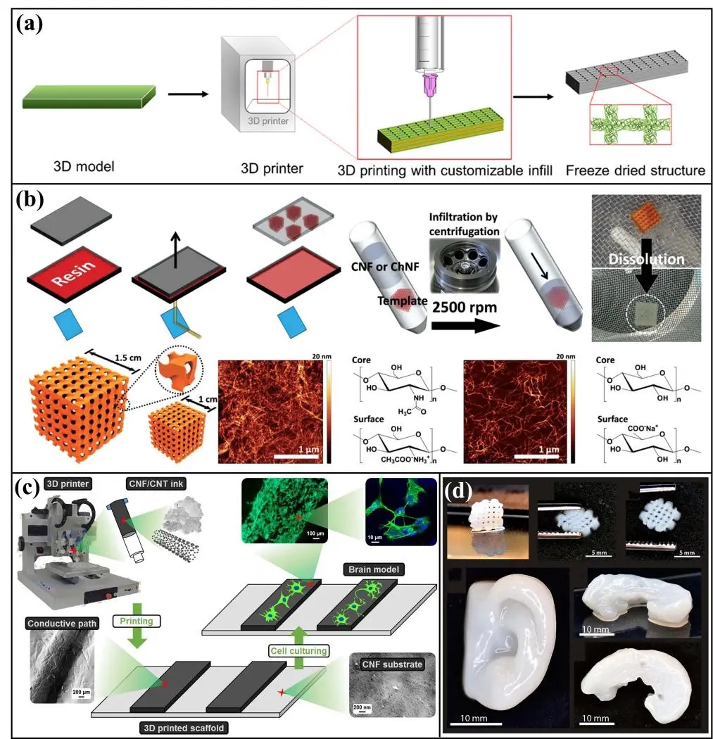 纳米纤维素基功能材料在生物医用领域的应用