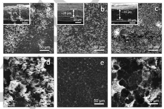 凝胶聚合物电解质对锂沉积形貌的影响 凝胶聚合物电解质对锂沉积形貌的影响