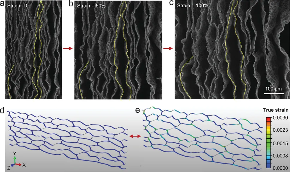碳弹簧的大可逆拉伸性的机制 碳弹簧的大可逆拉伸性的机制