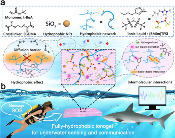 全疏水离子液体凝胶的构建及其水下传感与通讯应用 全疏水离子液体凝胶的构建及其水下传感与通讯应用