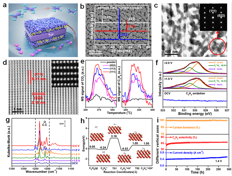多孔单晶电极促进乙烷电化学氧化脱氢制乙烯 多孔单晶电极促进乙烷电化学氧化脱氢制乙烯