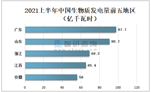 2021上半年中国生物质发电量前五地区