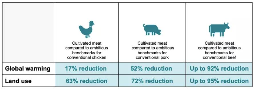 细胞培养肉公司「CellX」完成数千万元人民币天使轮融资