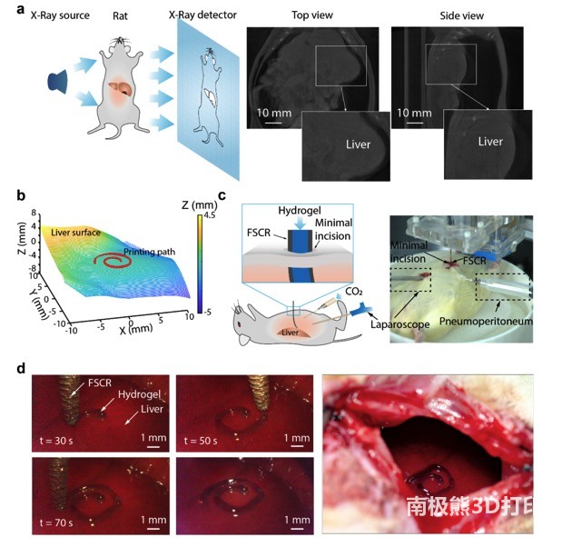 磁软导管机器人实现微创体内打印 磁软导管机器人实现微创体内打印