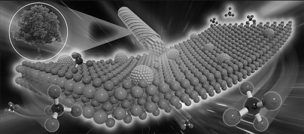 一种新方法可将木质纤维素等生物质资源在较温和条件下高选择性转化为生物甲烷